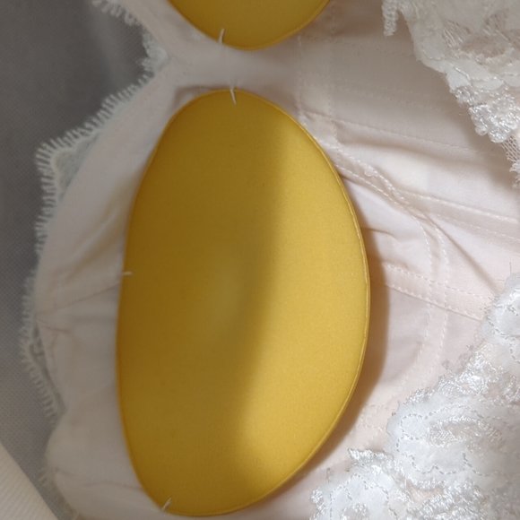 Ivory Lace and Tulle over Almond Gown with belt - Picture 9 of 9